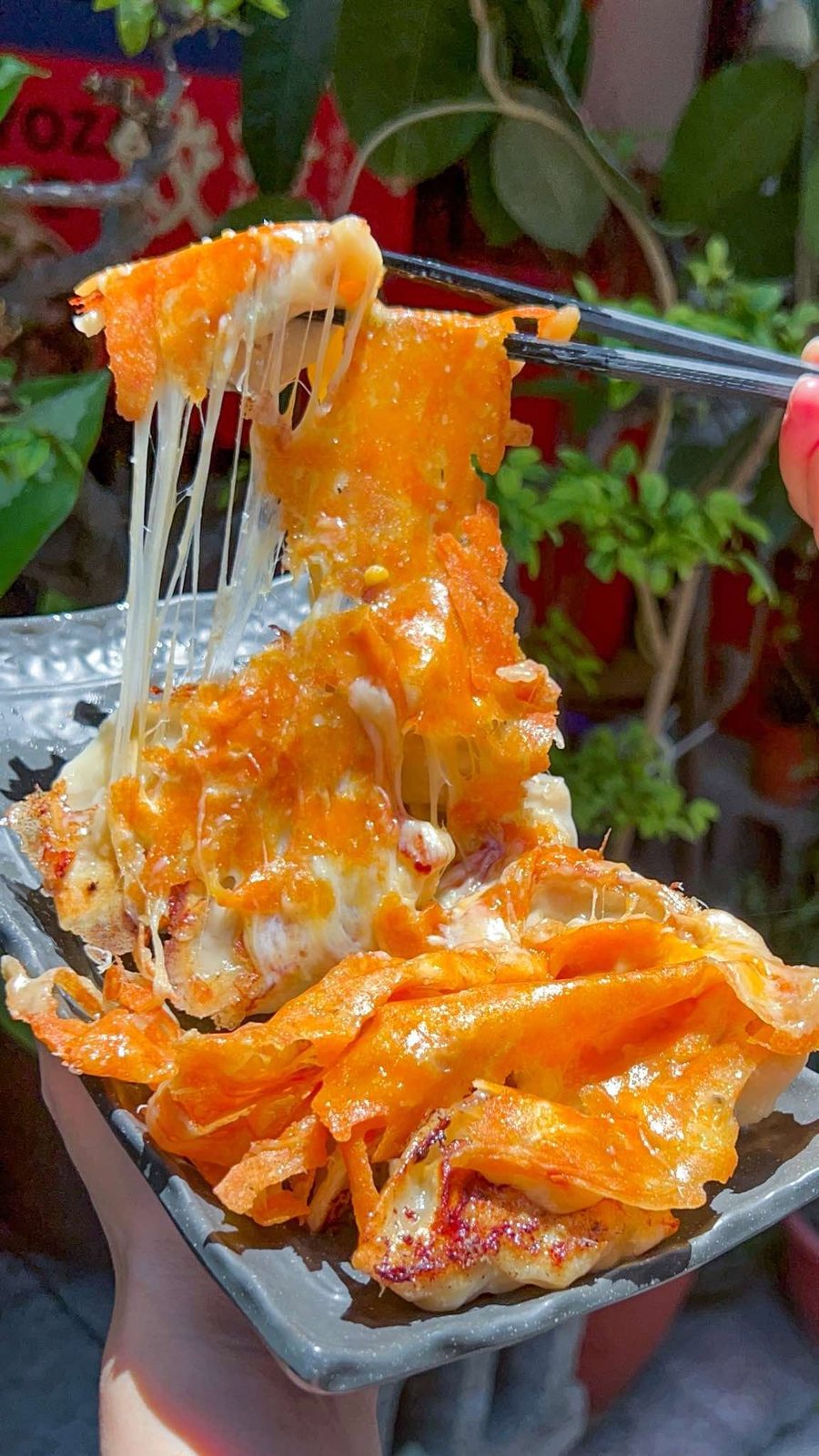 餃津的牽絲起司冰花煎餃:筷子夾起一塊,起司拉出長絲,表面是烤得焦香的橘金色起司脆片,盛在金屬托盤上